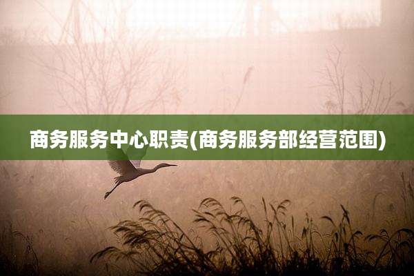 商务服务中心职责(商务服务部经营范围)
