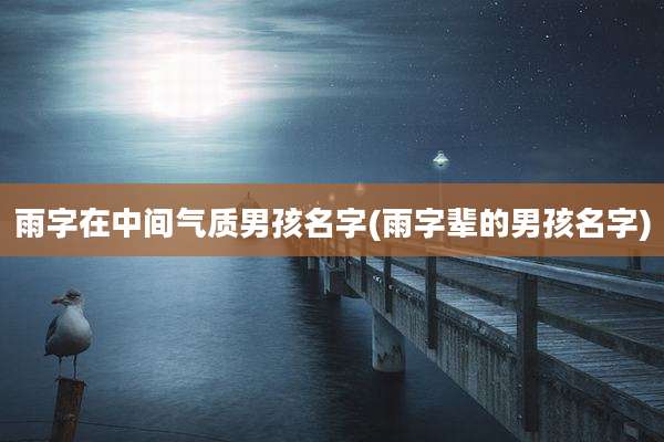 雨字在中间气质男孩名字(雨字辈的男孩名字)