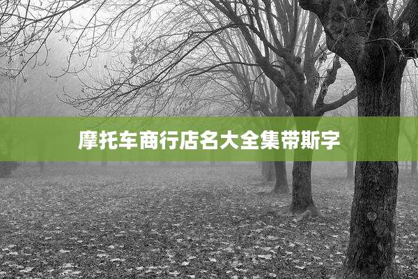 摩托车商行店名大全集带斯字