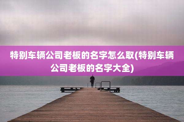 特别车辆公司老板的名字怎么取(特别车辆公司老板的名字大全)
