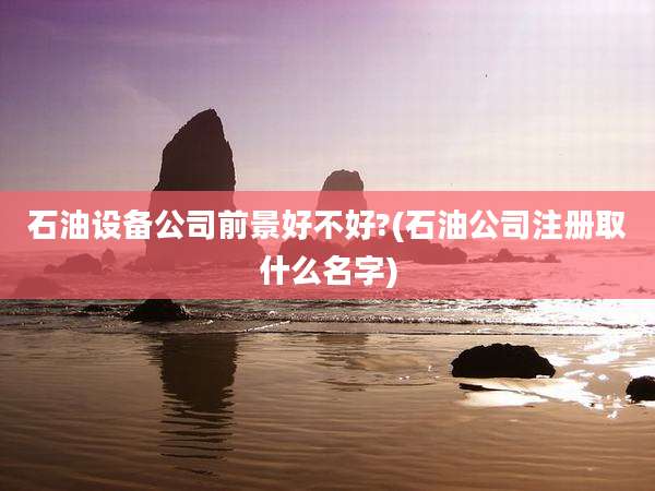 石油设备公司前景好不好?(石油公司注册取什么名字)