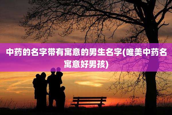 中药的名字带有寓意的男生名字(唯美中药名寓意好男孩)