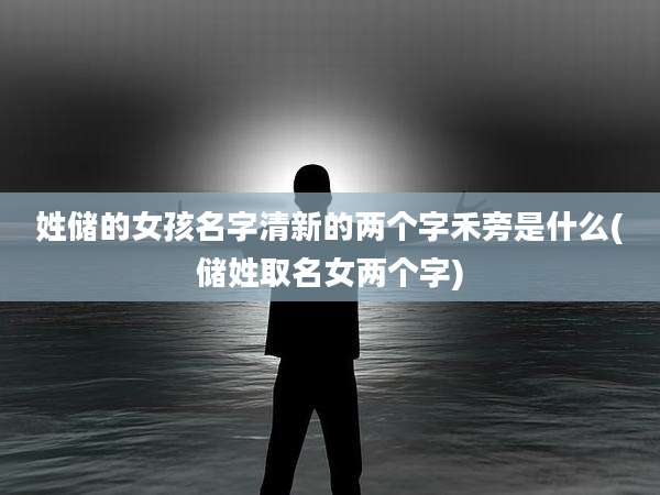 姓储的女孩名字清新的两个字禾旁是什么(储姓取名女两个字)