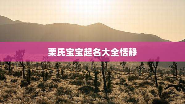 栗氏宝宝起名大全恬静