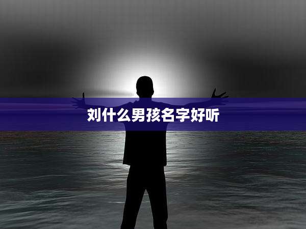 刘什么男孩名字好听