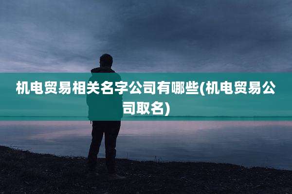 机电贸易相关名字公司有哪些(机电贸易公司取名)