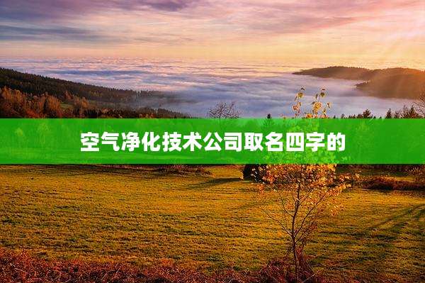 空气净化技术公司取名四字的