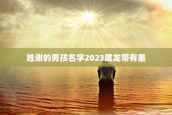 姓谢的男孩名字2023属龙带有墨