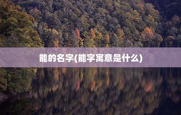 能的名字(能字寓意是什么)