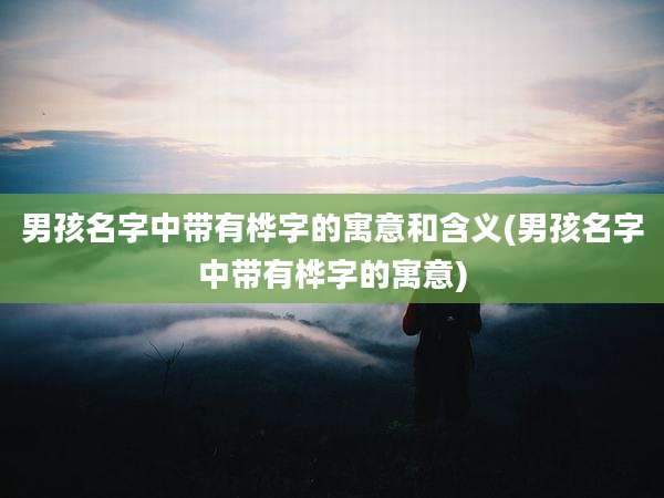 男孩名字中带有桦字的寓意和含义(男孩名字中带有桦字的寓意)