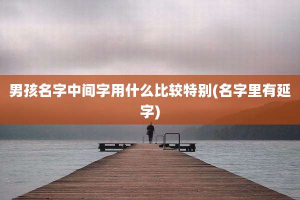 男孩名字中间字用什么比较特别(名字里有延字)