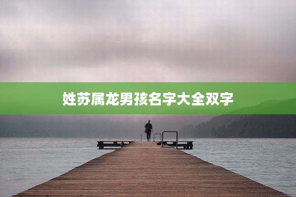 姓苏属龙男孩名字大全双字