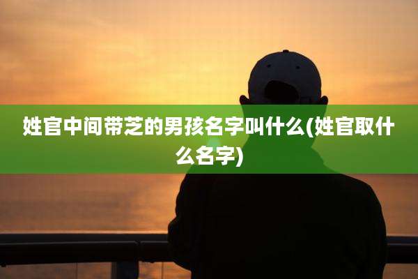 姓官中间带芝的男孩名字叫什么(姓官取什么名字)