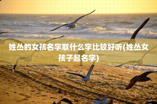 姓丛的女孩名字取什么字比较好听(姓丛女孩子起名字)