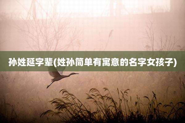 孙姓延字辈(姓孙简单有寓意的名字女孩子)