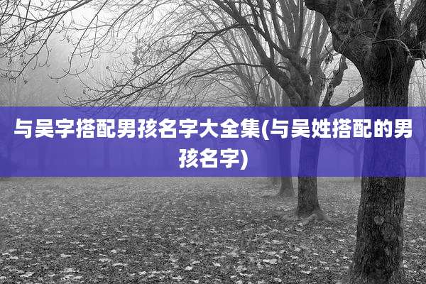 与吴字搭配男孩名字大全集(与吴姓搭配的男孩名字)