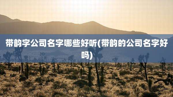 带韵字公司名字哪些好听(带韵的公司名字好吗)