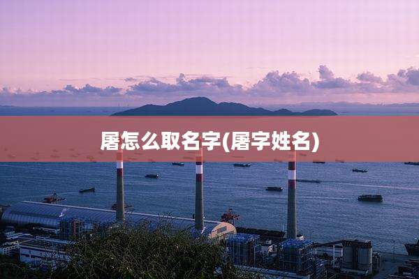 屠怎么取名字(屠字姓名)