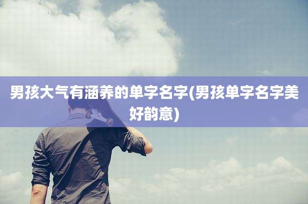 男孩大气有涵养的单字名字(男孩单字名字美好韵意)