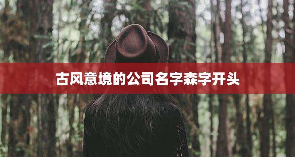 古风意境的公司名字森字开头