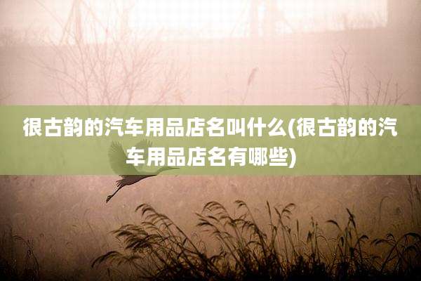 很古韵的汽车用品店名叫什么(很古韵的汽车用品店名有哪些)
