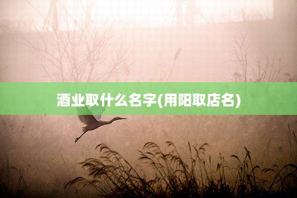 酒业取什么名字(用阳取店名)
