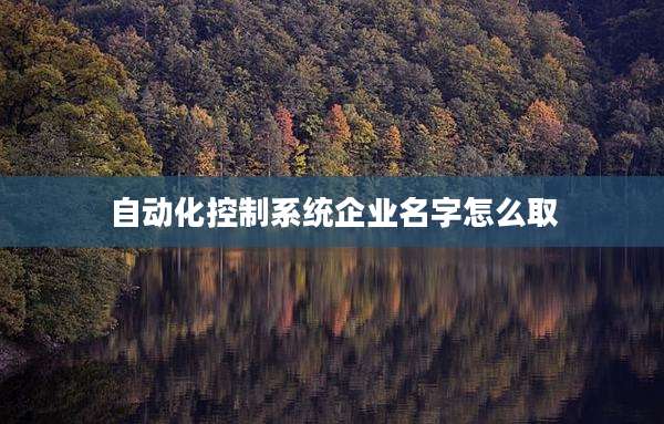 自动化控制系统企业名字怎么取