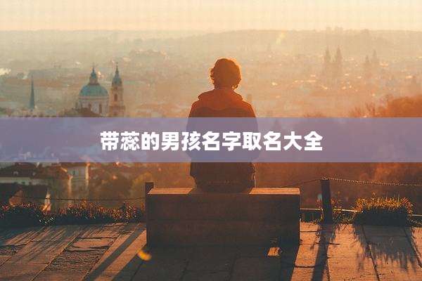 带蕊的男孩名字取名大全