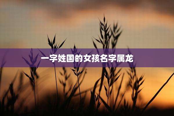 一字姓国的女孩名字属龙