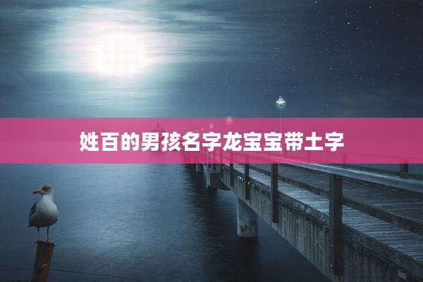 姓百的男孩名字龙宝宝带土字
