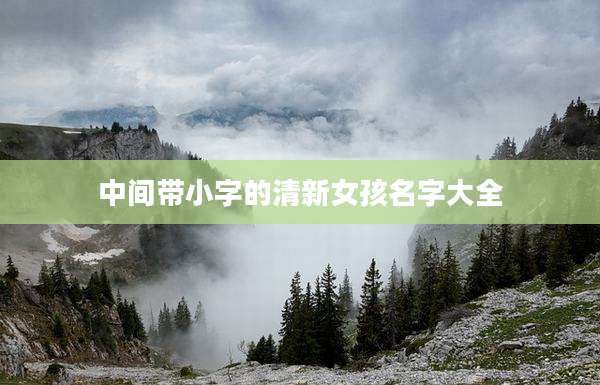 中间带小字的清新女孩名字大全