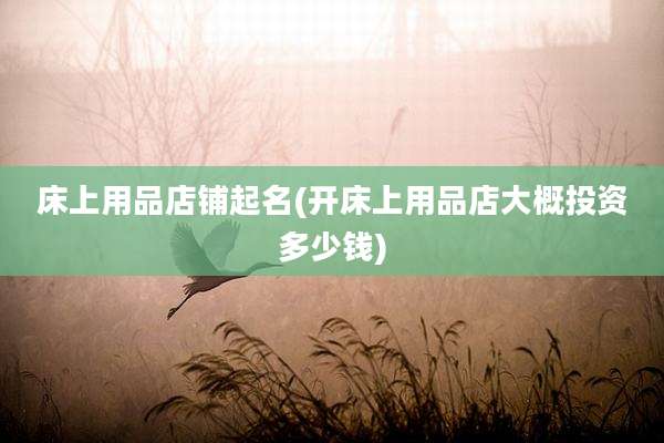 床上用品店铺起名(开床上用品店大概投资多少钱)