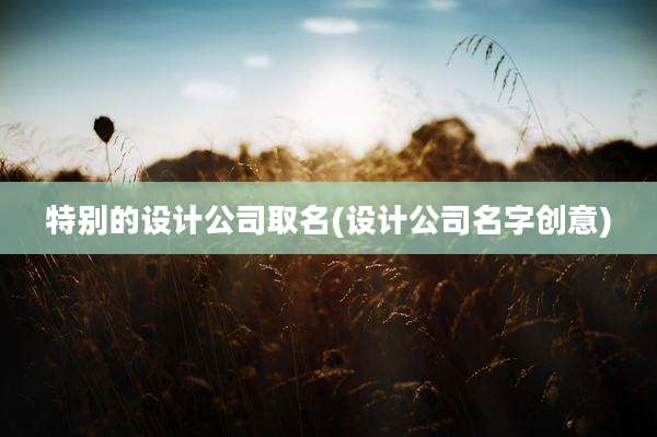 特别的设计公司取名(设计公司名字创意)