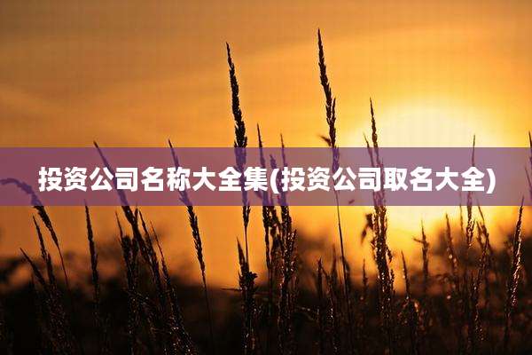 投资公司名称大全集(投资公司取名大全)