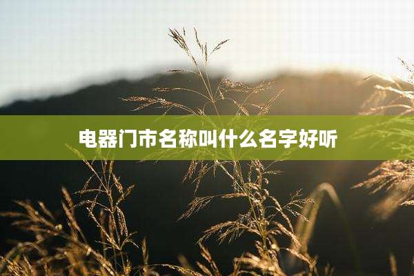 电器门市名称叫什么名字好听