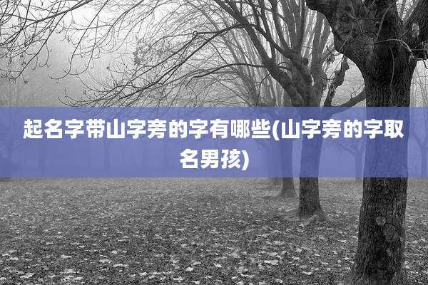 起名字带山字旁的字有哪些(山字旁的字取名男孩)