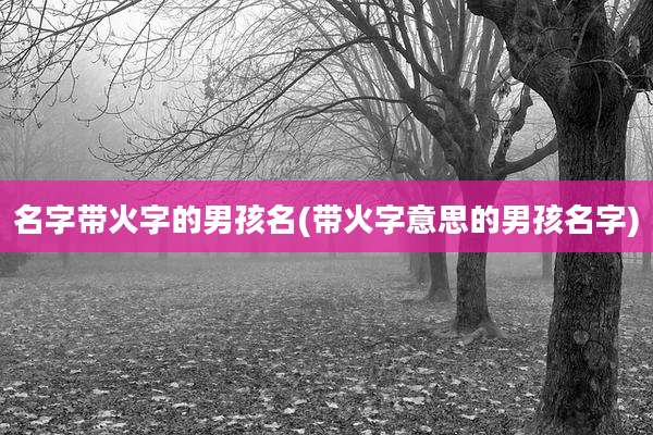 名字带火字的男孩名(带火字意思的男孩名字)