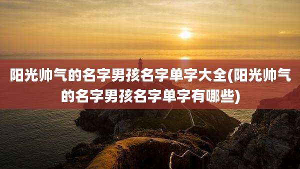 阳光帅气的名字男孩名字单字大全(阳光帅气的名字男孩名字单字有哪些)