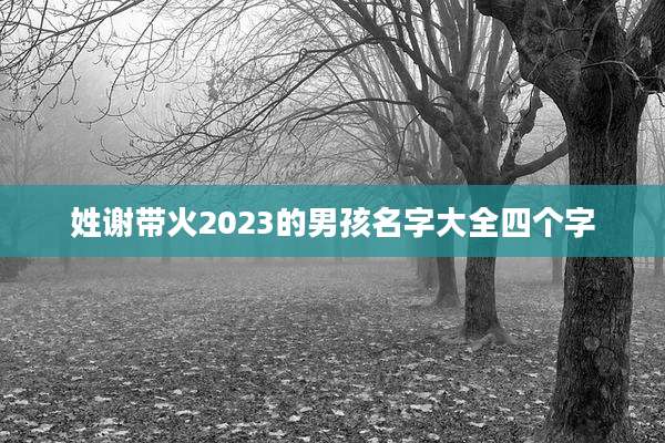 姓谢带火2023的男孩名字大全四个字