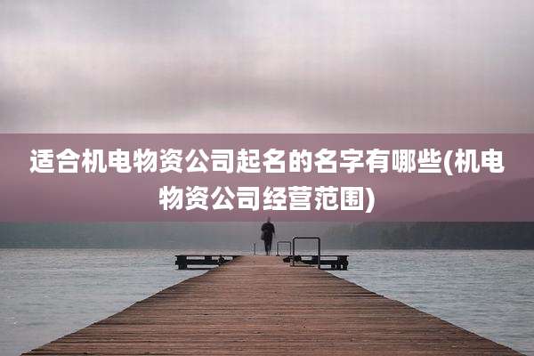 适合机电物资公司起名的名字有哪些(机电物资公司经营范围)