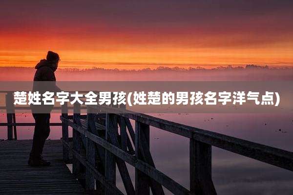楚姓名字大全男孩(姓楚的男孩名字洋气点)