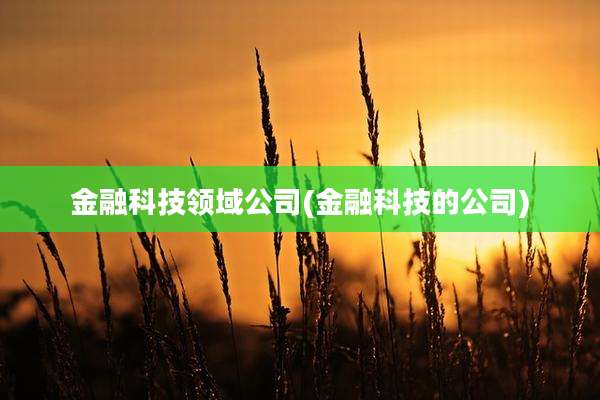 金融科技领域公司(金融科技的公司)