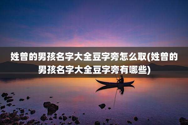 姓曾的男孩名字大全豆字旁怎么取(姓曾的男孩名字大全豆字旁有哪些)