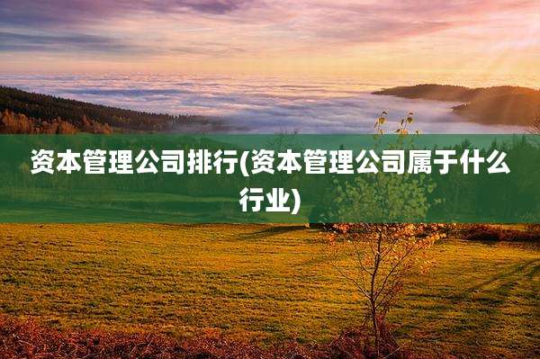 资本管理公司排行(资本管理公司属于什么行业)