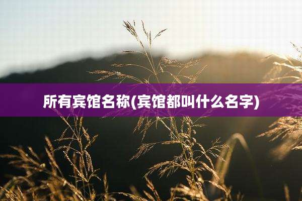 所有宾馆名称(宾馆都叫什么名字)