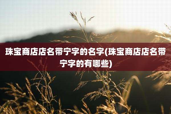 珠宝商店店名带宁字的名字(珠宝商店店名带宁字的有哪些)