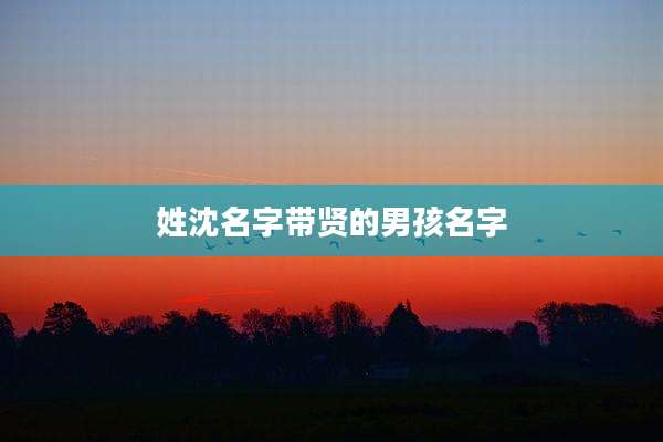 姓沈名字带贤的男孩名字