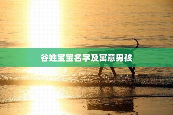 谷姓宝宝名字及寓意男孩