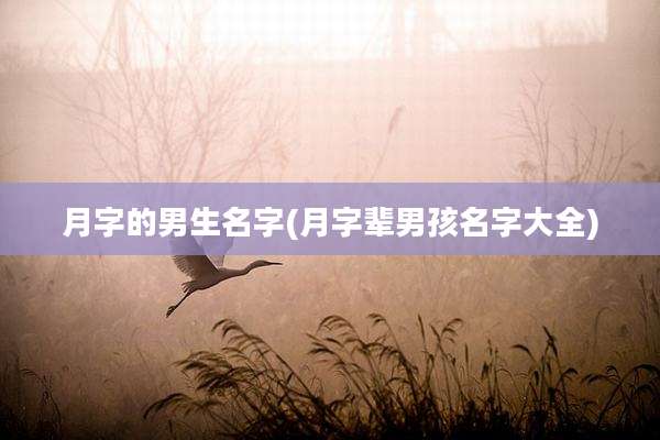 月字的男生名字(月字辈男孩名字大全)