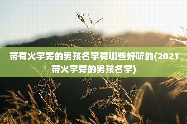 带有火字旁的男孩名字有哪些好听的(2021带火字旁的男孩名字)